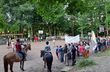 Niesulice 2013 - galeria foto