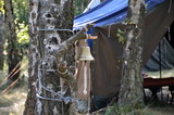Niesulice 2013 - galeria foto