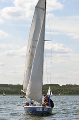 Niesulice 2013 - galeria foto
