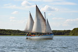 Niesulice 2013 - galeria foto