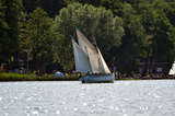 Niesulice 2013 - galeria foto