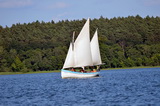 Niesulice 2013 - galeria foto