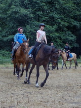 Niesulice 2013 - galeria foto