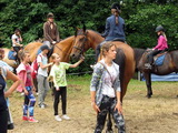 Niesulice 2013 - galeria foto