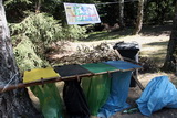 Niesulice 2013 - galeria foto