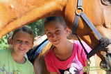 Niesulice 2013 - galeria foto
