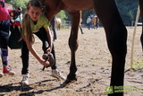 Niesulice 2013 - galeria foto