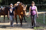 Niesulice 2013 - galeria foto