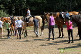 Niesulice 2013 - galeria foto