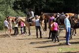 Niesulice 2013 - galeria foto