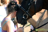 Niesulice 2013 - galeria foto