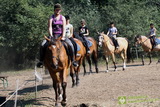 Niesulice 2013 - galeria foto