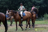 Niesulice 2013 - galeria foto