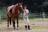 Niesulice 2013 - galeria foto