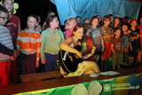 Niesulice 2013 - galeria foto