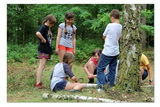 Niesulice 2013 - galeria foto