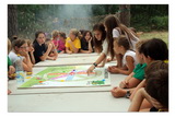 Niesulice 2013 - galeria foto