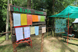 Niesulice 2014, I turnus [foto] - część 1 