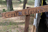 Niesulice 2014, I turnus [foto] - część 1 