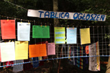 Niesulice 2014, I turnus [foto] - część 1 