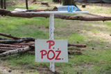Niesulice 2014, I turnus [foto] - część 1 