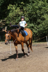 Niesulice 2014, II turnus [foto] - część 1