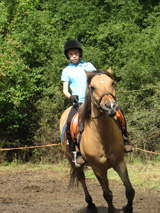 Niesulice 2014, II turnus [foto] - część 2