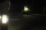 Niesulice 2014, III turnus [foto]