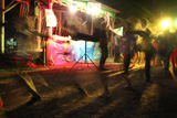 Niesulice 2014, III turnus [foto]